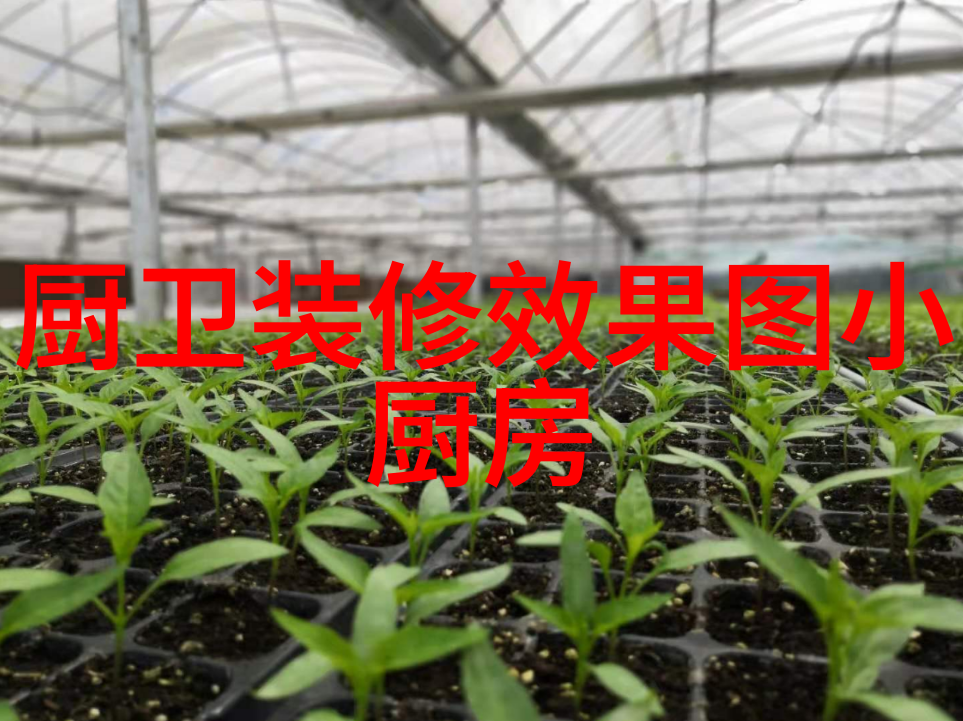 小天鹅洗衣机智能功能介绍如何提升厨卫生活品质
