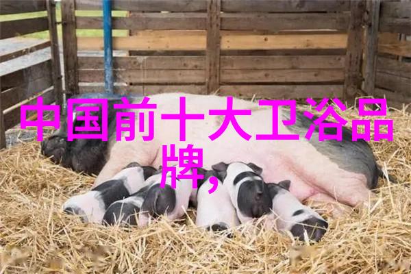 空调室内机的多样化选择从壁挂式到吊顶式探索家居舒适的不同风格