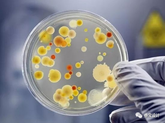 冰箱冷冻18度还是24度好_冰箱冷冻和冷藏哪个温度低_冰箱冷冻度数越高越冷吗