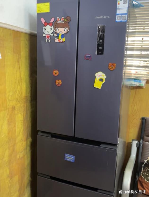 新飞冰箱有几种标志_新飞冰箱要什么价钱买一个新的_新飞冰箱怎么样