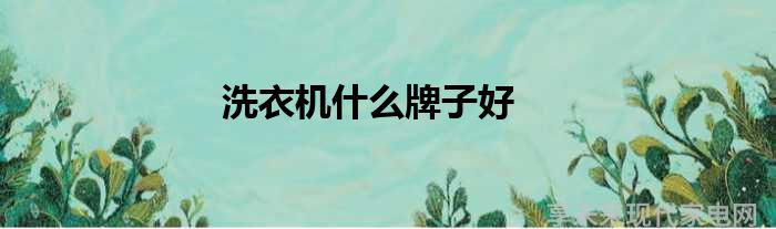 什么牌子的洗衣机好