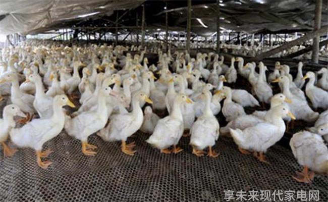 近五年复合增长率超20家用咖啡机是下一个风口
