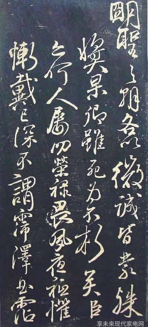 哪些冰箱品牌在节能和环保方面表现出色
