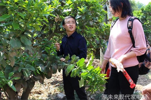 厨具十大品牌终极对决谁能问鼎烹饪之王座